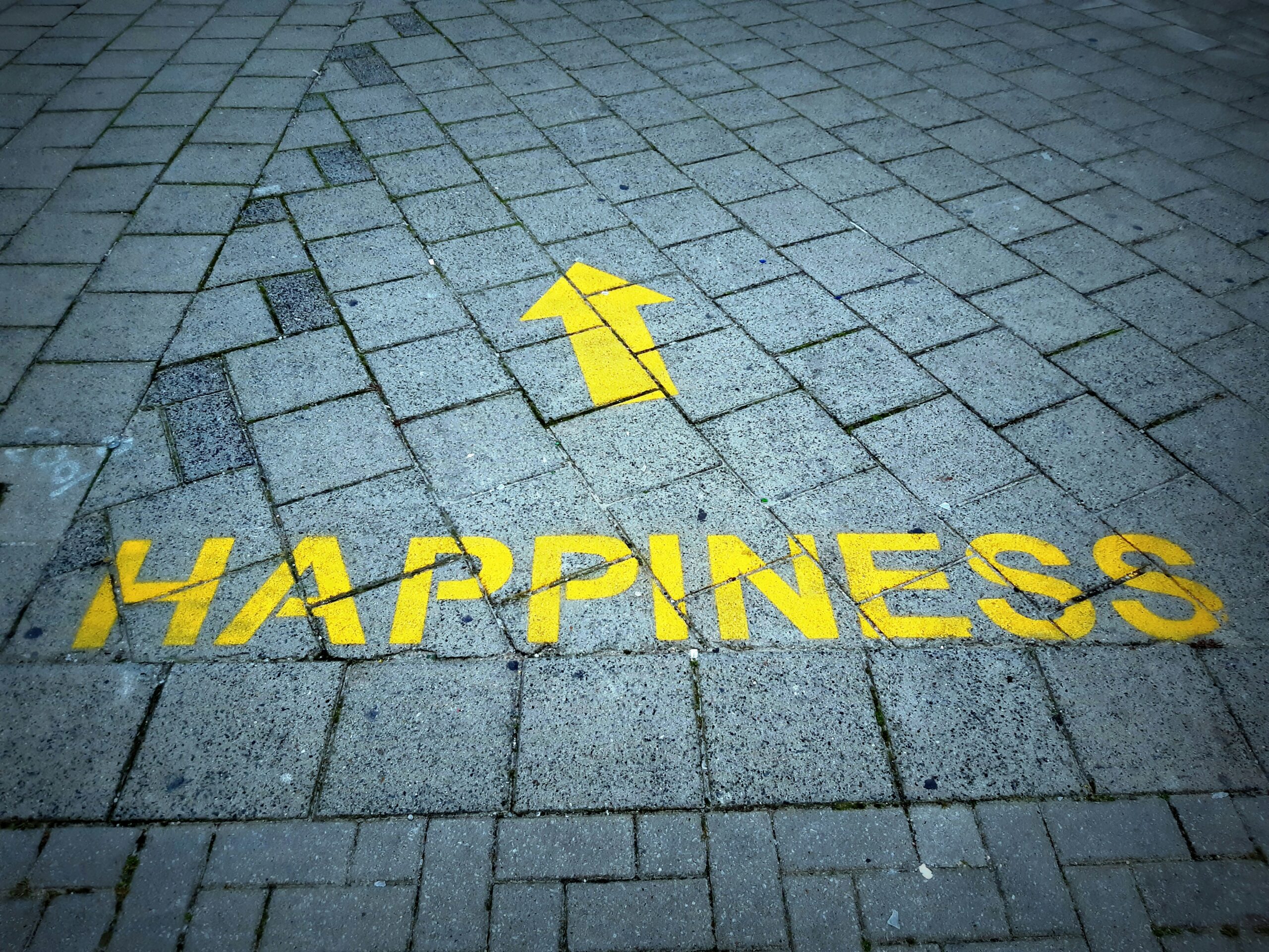 Read more about the article It’s Not Just Happiness: What You’re Really Searching For